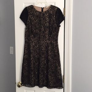 LOFT 👗 Black Lace Dress NWT